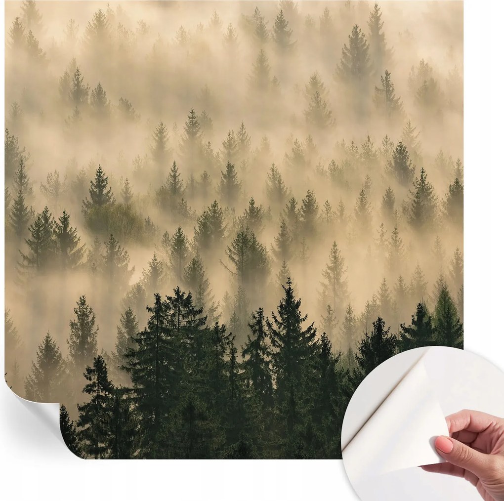 Fotótapéta Dekoratív Fali Tapéta Képekkel Erdei köd 250x250