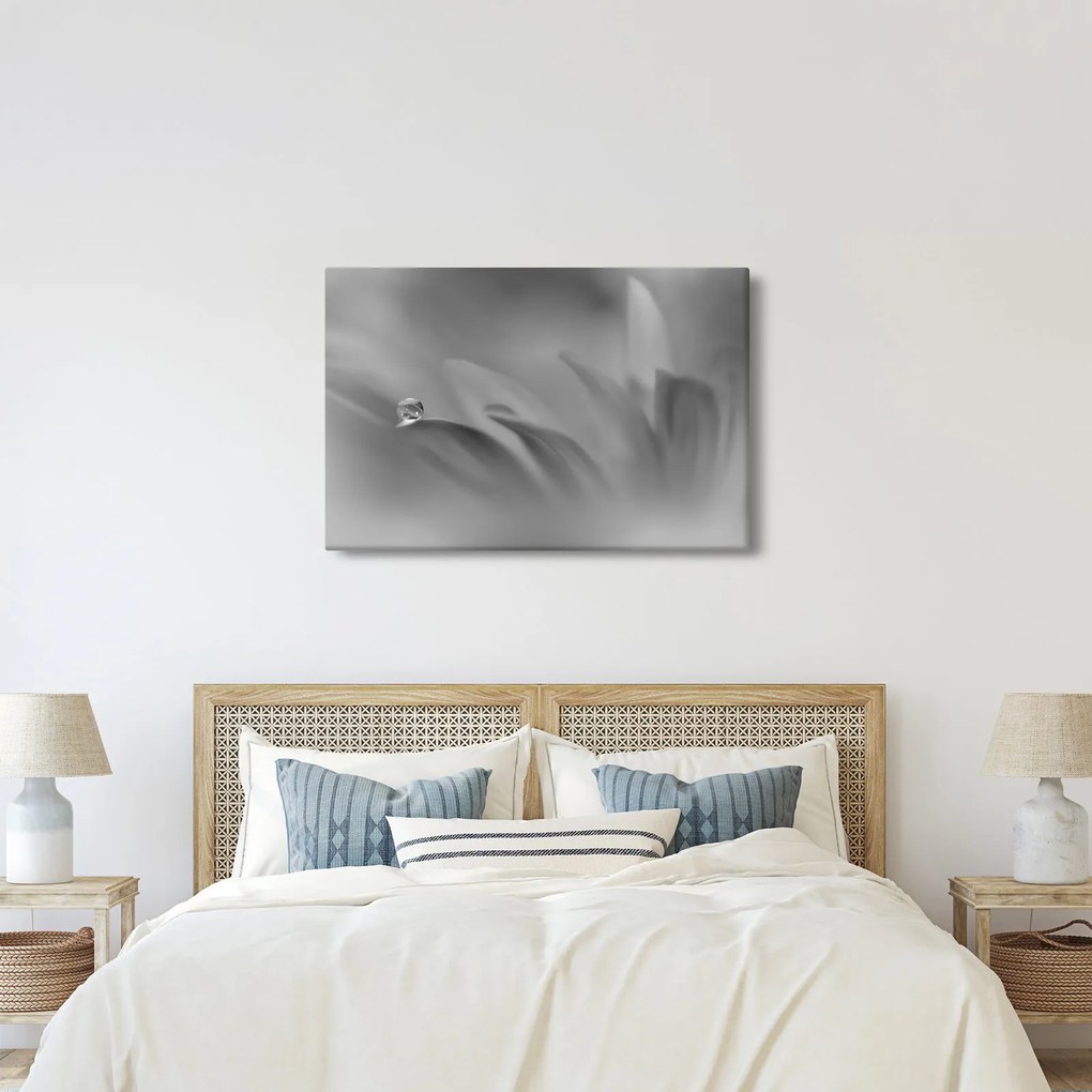 Kép - Csepp a virágon, fekete-fehér (90x60 cm)