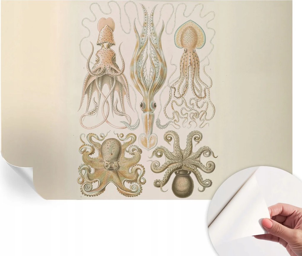 Öntapadós fotótapéta Nappaliba és Hálószobába Tengeri élet 152x104