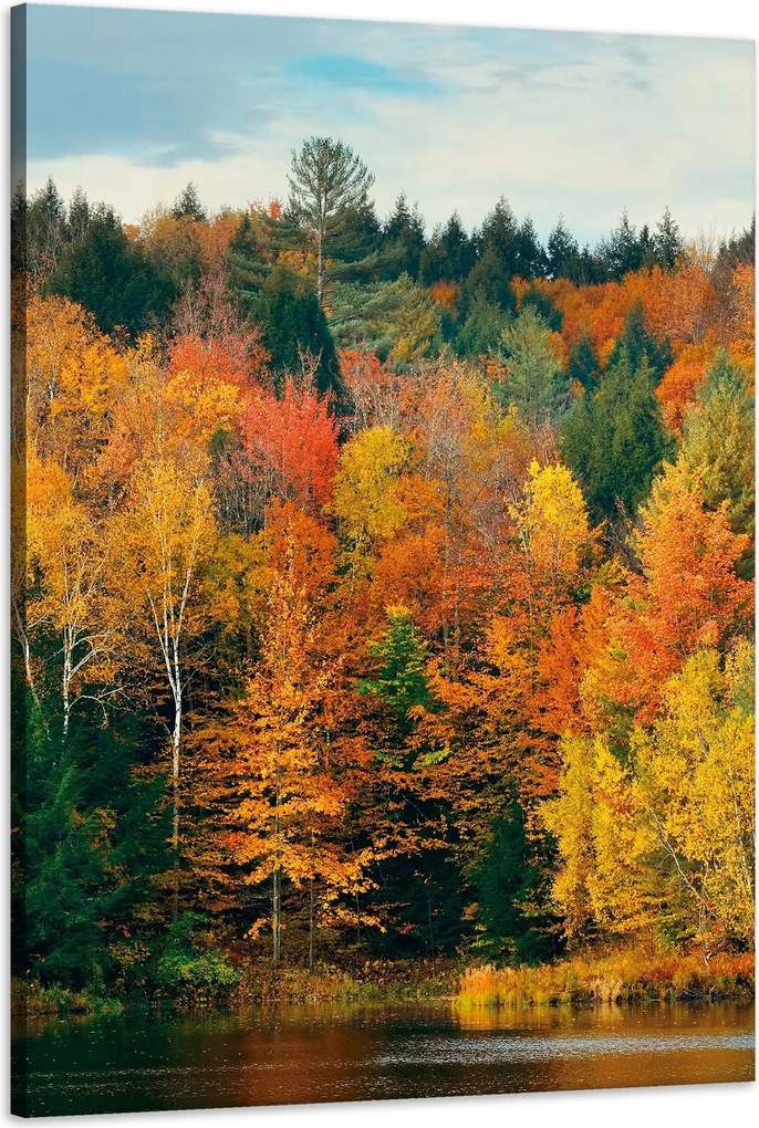 Vászonkép Színes Levelek Fák Ősz Természet 60x90 cm