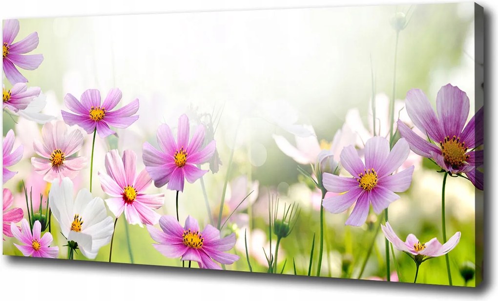 Vászonkép Virágok a réten 100x70 cm