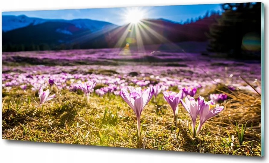 Fotó üvegkép Tengeri szem Tátra 125x50