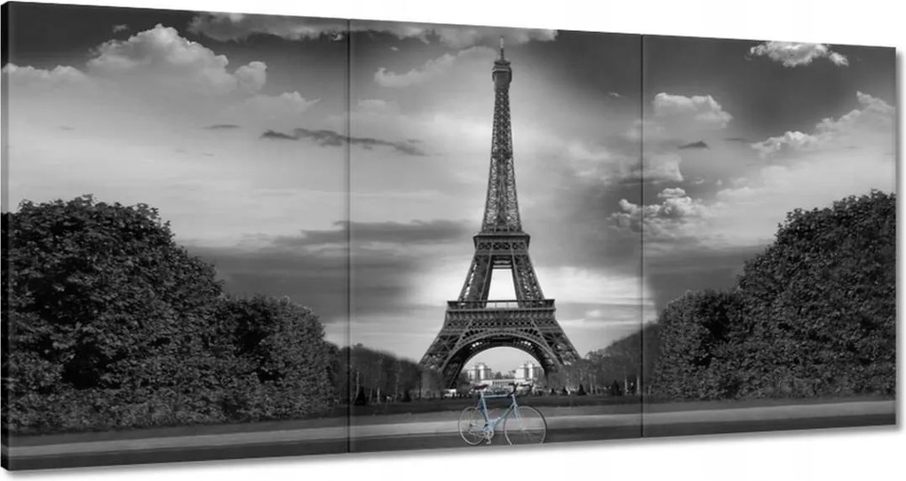 Képek 120x60 Kerékpár az Eiffel-torony előtt