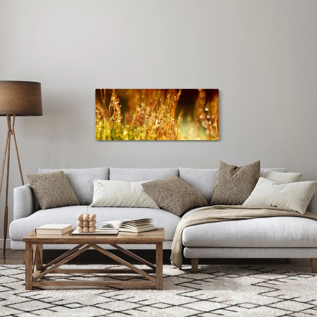 Kép - Harmat részlete (120x50 cm)
