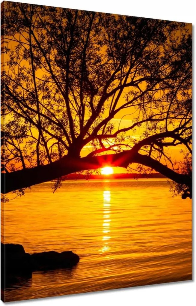 Vászonkép 60x80 Tengerpart Fa Tenger