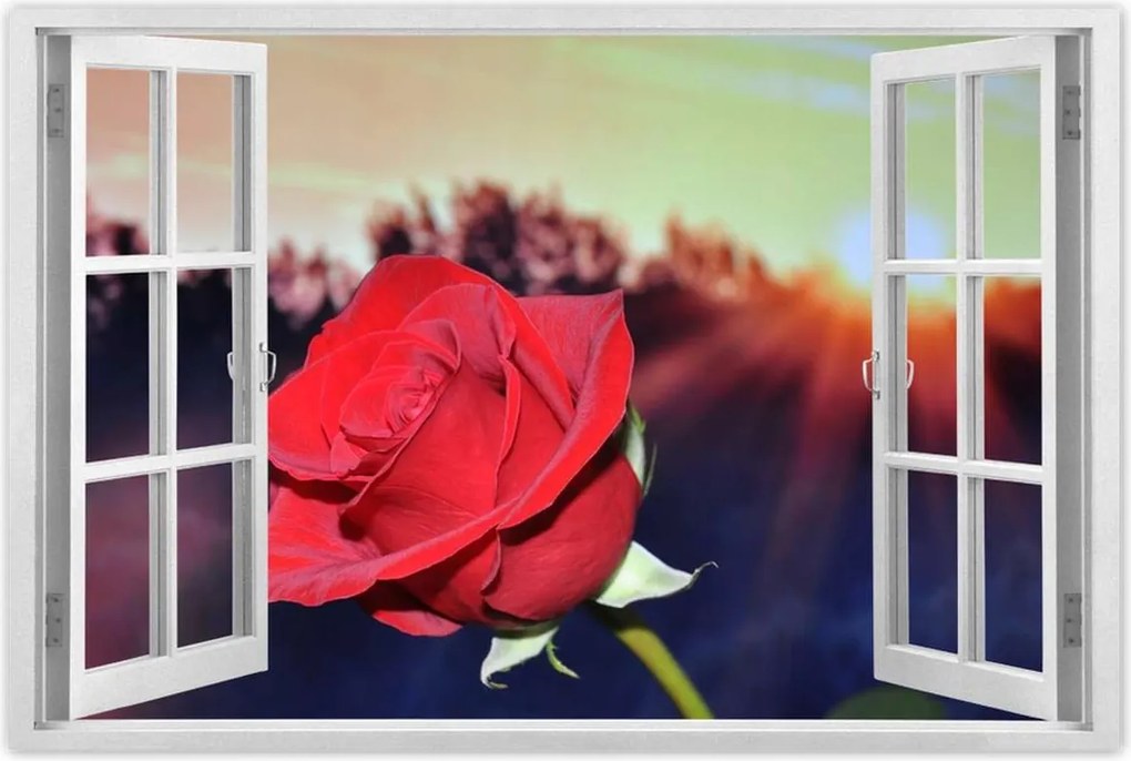 Poszterek 90x60 Különböző a kedvesednek