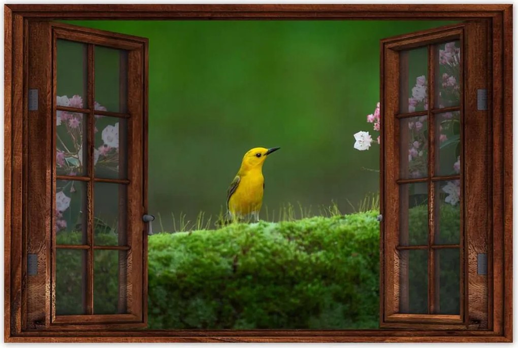 Poszterek 90x60 Madárka