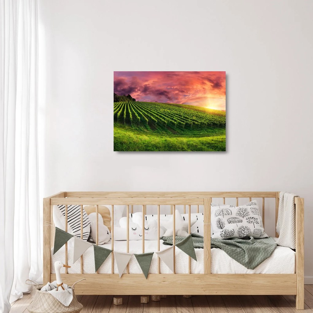 Szőlőskert és a színes égbolt képe (üvegen) (70x50 cm)