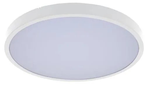 Rabalux 71425 - LED Fürdőszobai mennyezeti lámpa ALENZO LED/12W/230V IP44 fehér