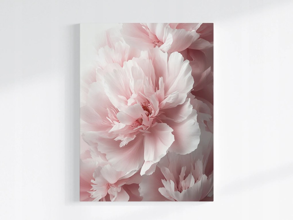 Vászonkép Canvas Természet Virágok Rózsaszín Bazsarózsa Peonie Makró 60x80