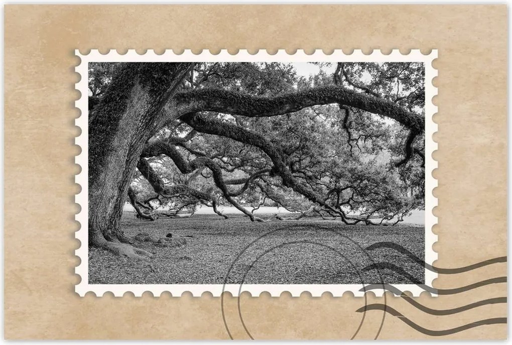 Poszterek 90x60 Erőteljes tölgyek