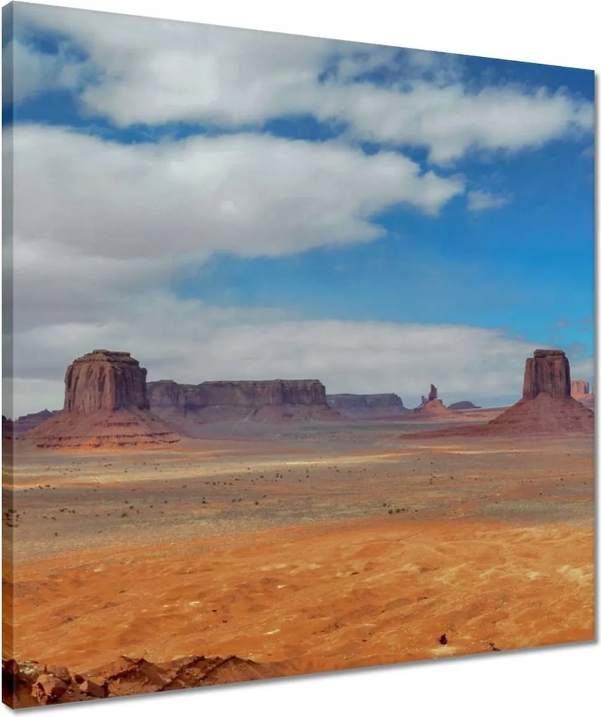 Vászonkép 50x50 Sivatagi kilátás