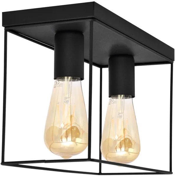 Mennyezeti lámpa FINN 2xE27/15W/230V fekete