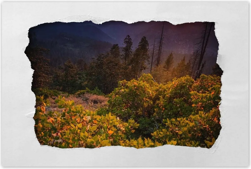 Poszterek 90x60 Kilátás Tájkép