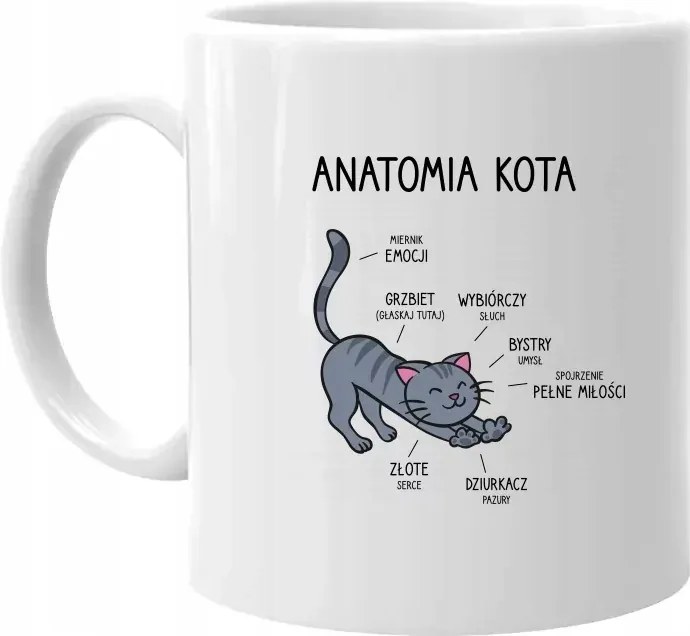 Ajándék Macskaszerető Bögrének Maccsával Macska anatómia