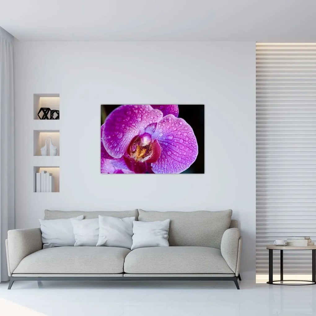 Részletes kép az orchidea virágról (90x60 cm)