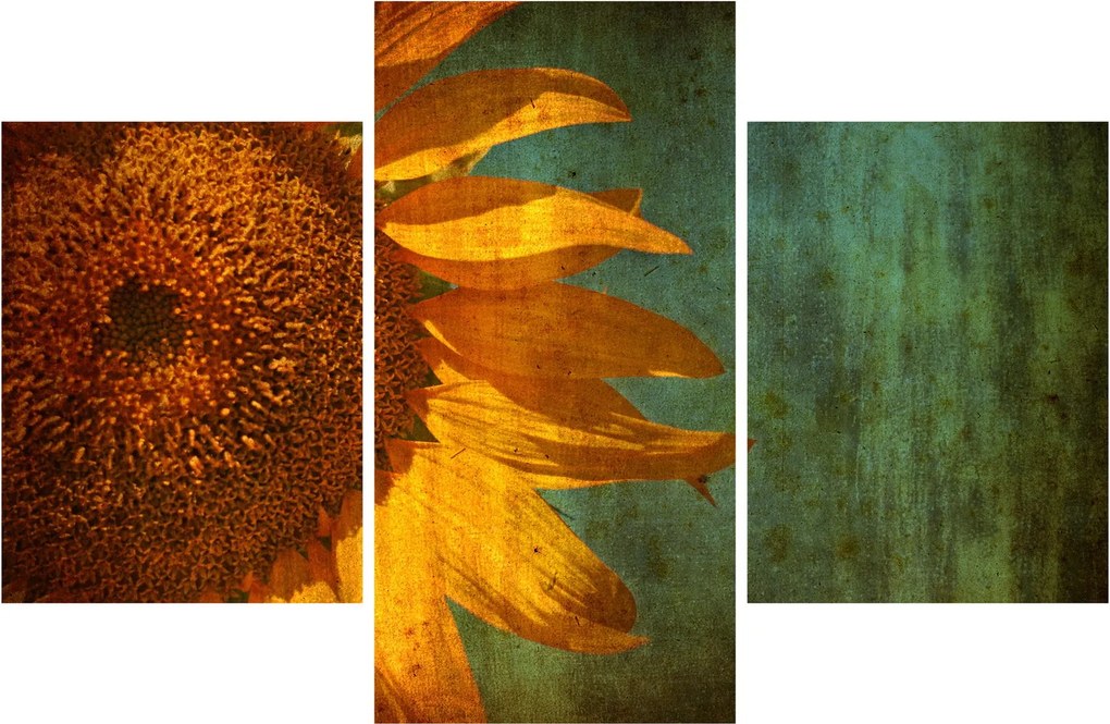 Kép - napraforgó (90x60 cm)