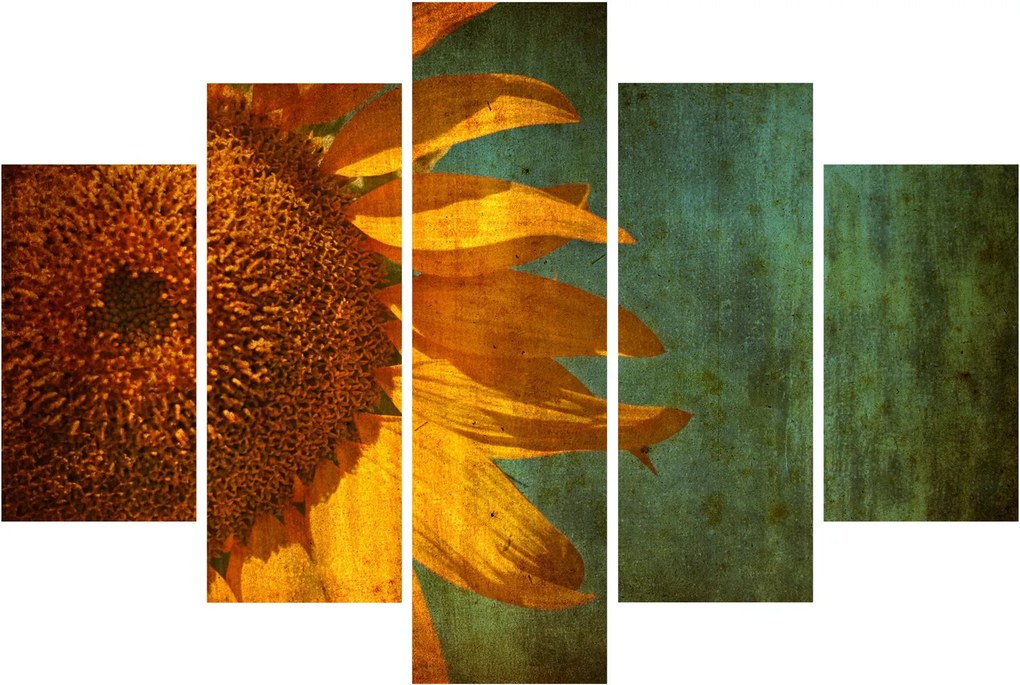 Kép - napraforgó (150x105 cm)