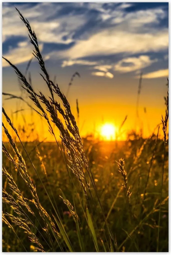 Fotótapéták 122x184 Naplemente a füvek között