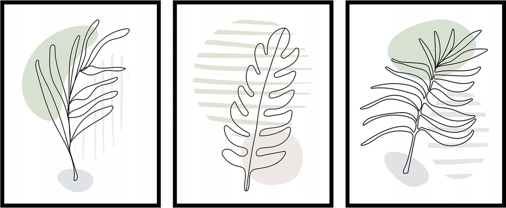 Grafika rajzok növények grafika poszter 3x 70x100cm