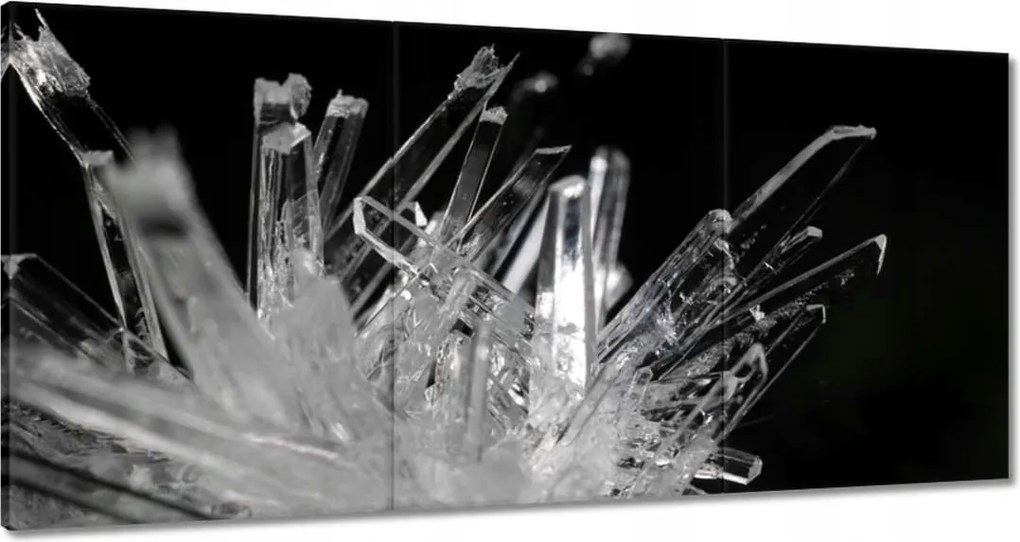 Festmények 120x60 Makrofotó MacroFoto