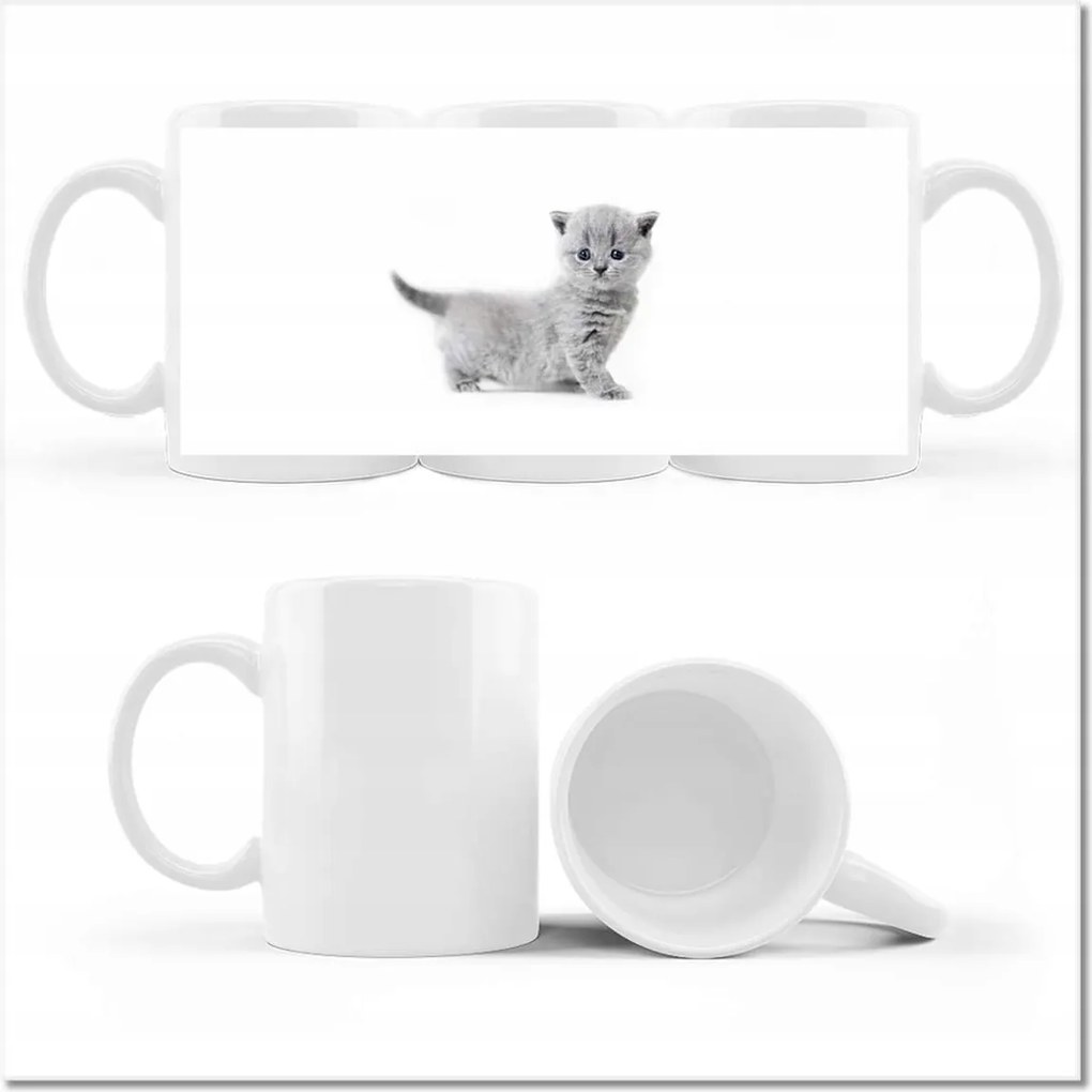 Cica fényképes bögre Cicák Macskák