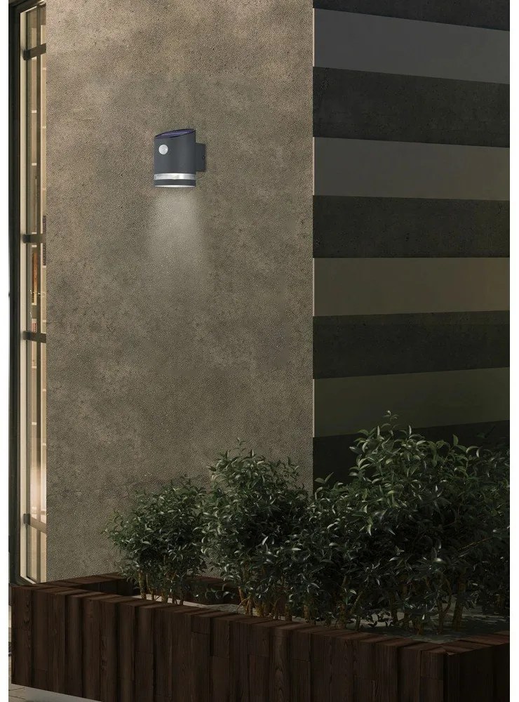 LED kültéri lámpa mozgásérzékelővel (magasság 13 cm) Salta – Trio