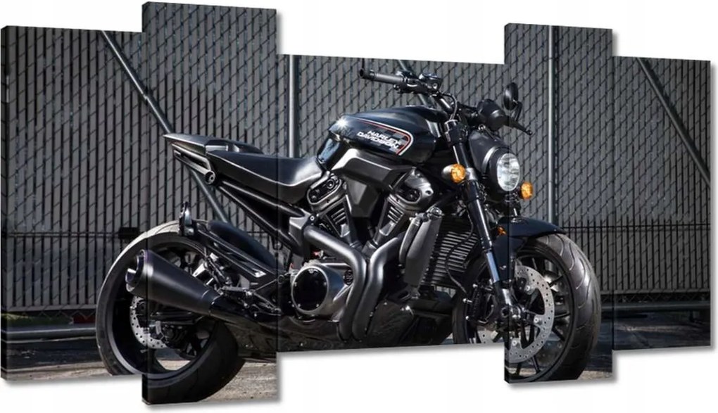 Képek 120x65 Harley Davidson Motorkerékpár