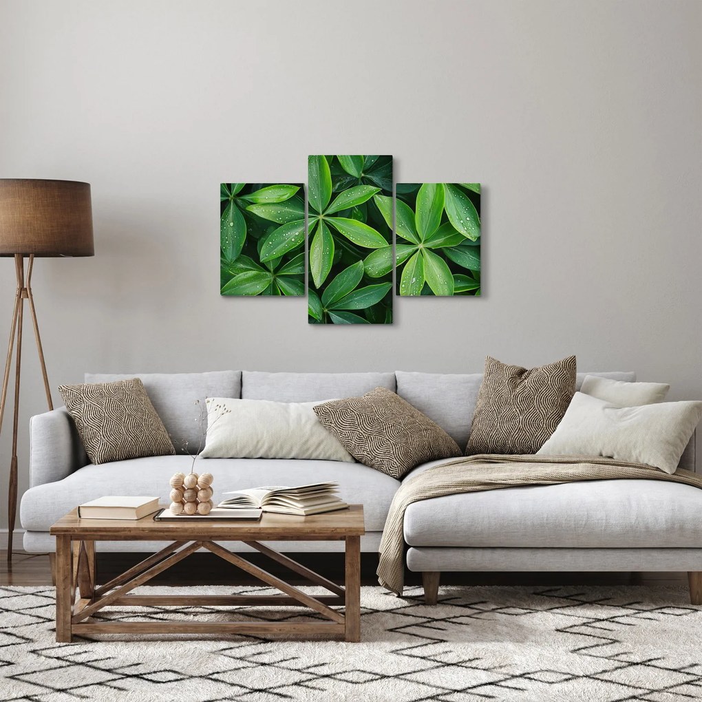 Kép - Levelek harmatcseppekkel (90x60 cm)