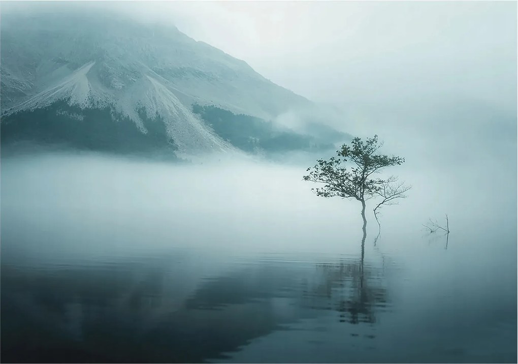 Fotótapéta Flizelin Dekoratív tapéta A természet misztikuma 312x219 Ragasztó