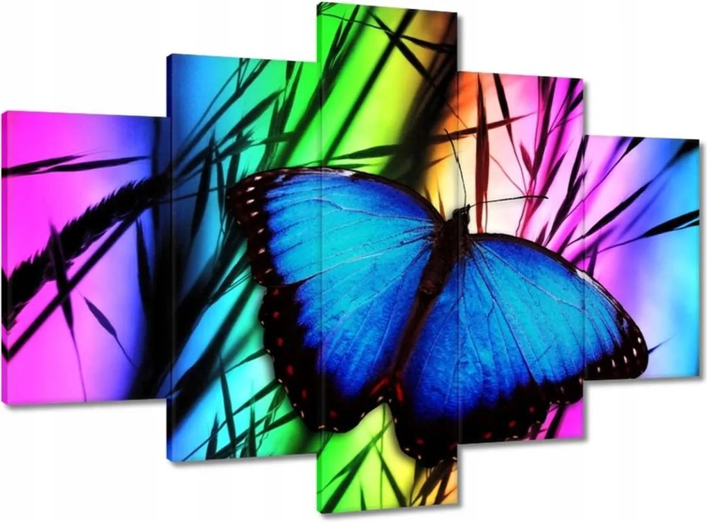 Vászonkép 150x105 Kék pillangó