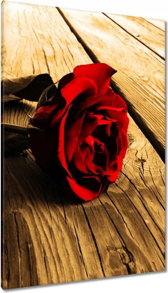 Vászonkép 80x120 Rózsa szépia deszkákon