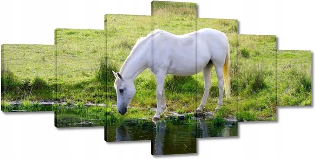 Festmények 210x100 Fehér ló