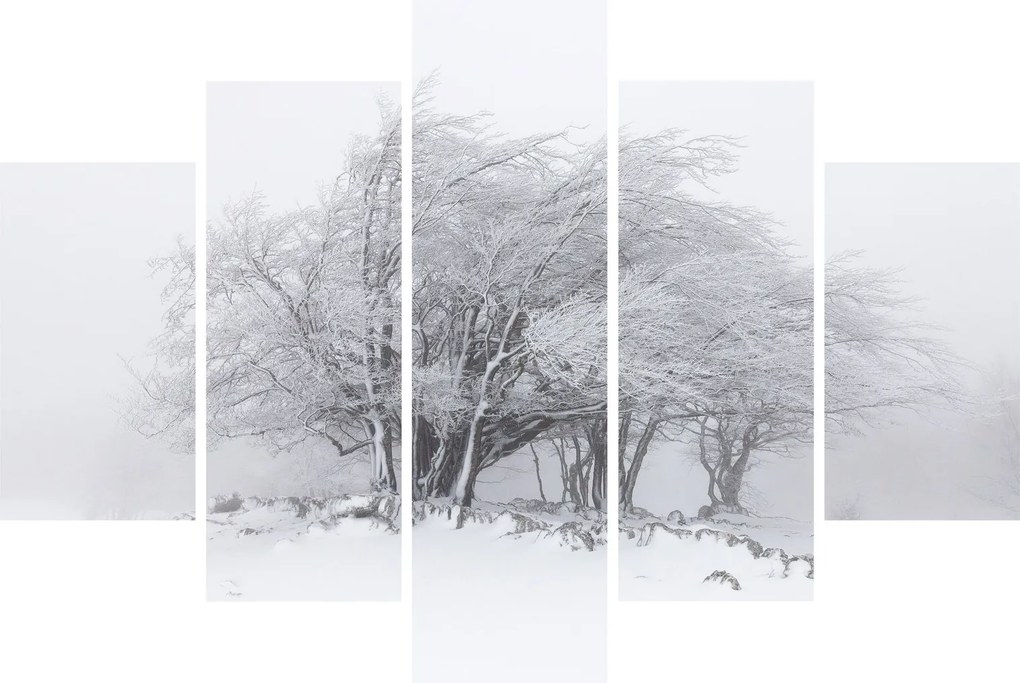 Kép - fehér tél (150x105 cm)