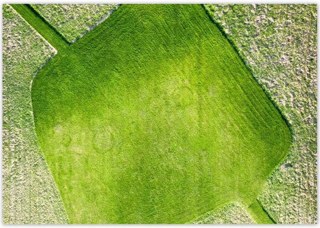 Poszterek 100x70 Fű mező rét út