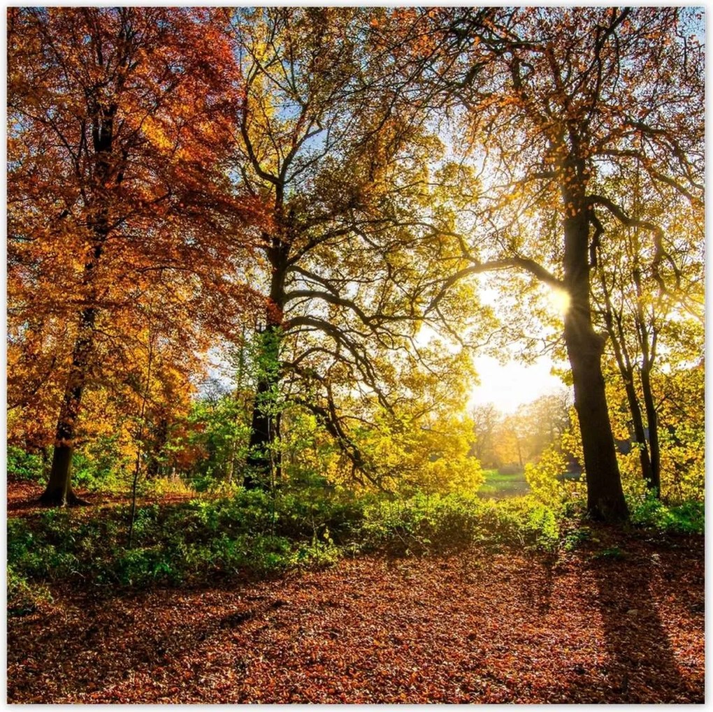 Poszterek 70x70 Tájkép