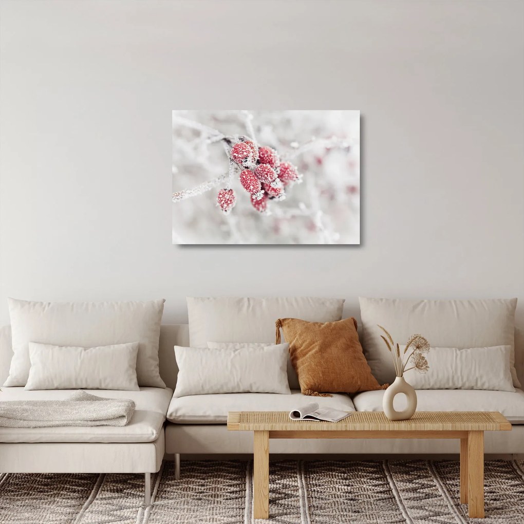 Kép - Fagyasztott gyümölcsök (üvegen) (70x50 cm)