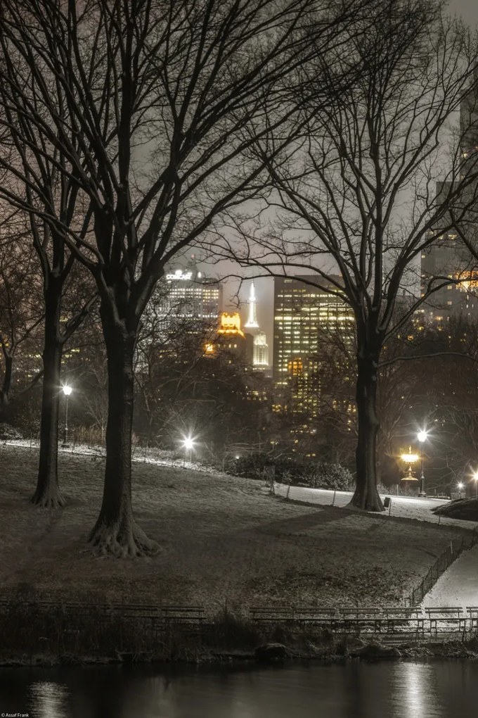 Poszter 30x45cm Central Park éjszaka, Assaf Frank
