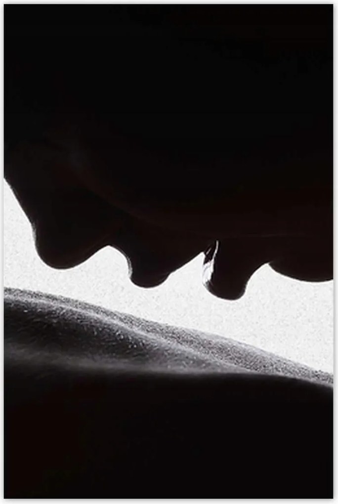 Poszterek 80x120 Aktok Meztelenség Szerelem Fotó