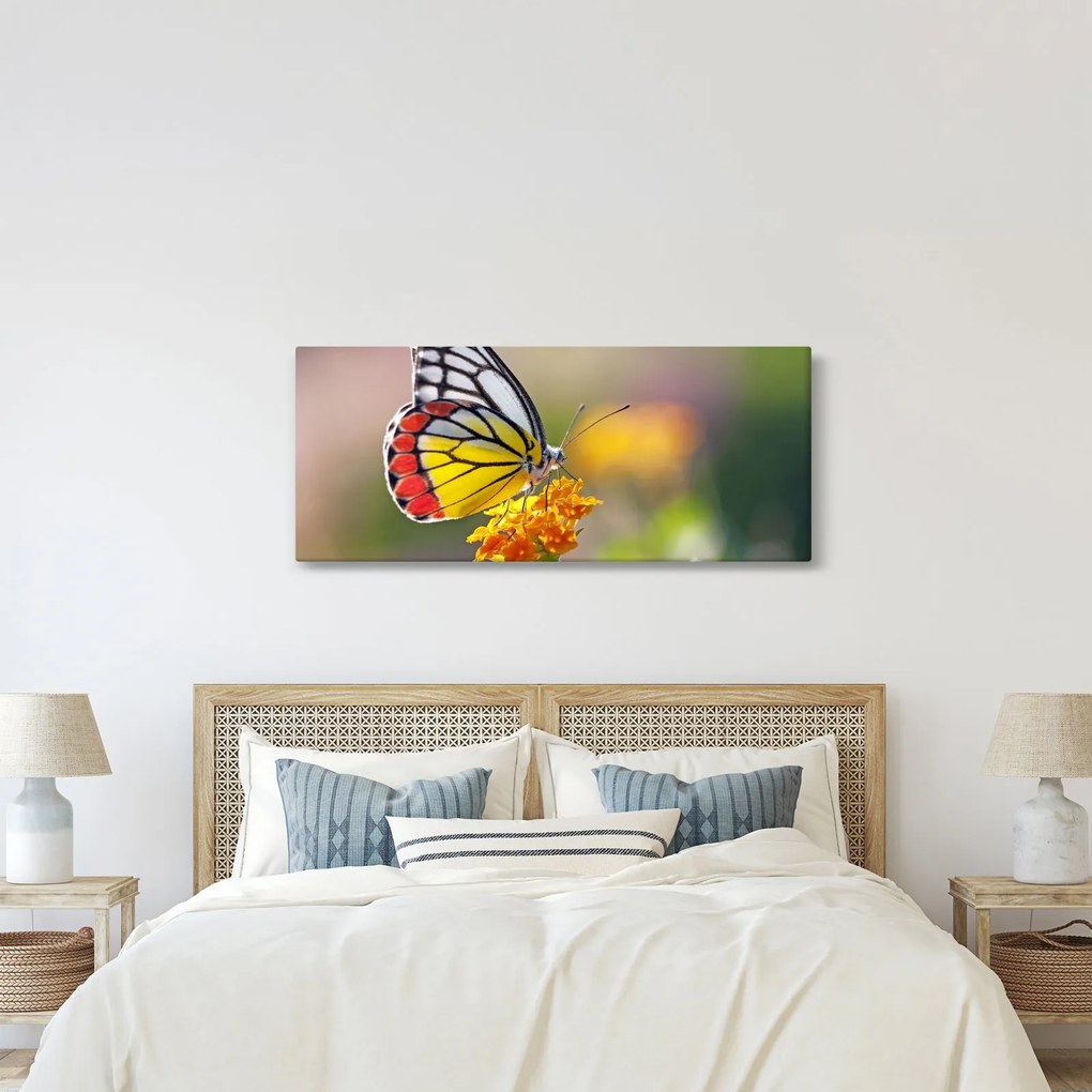 Egy pillangó képe a virágon (120x50 cm)