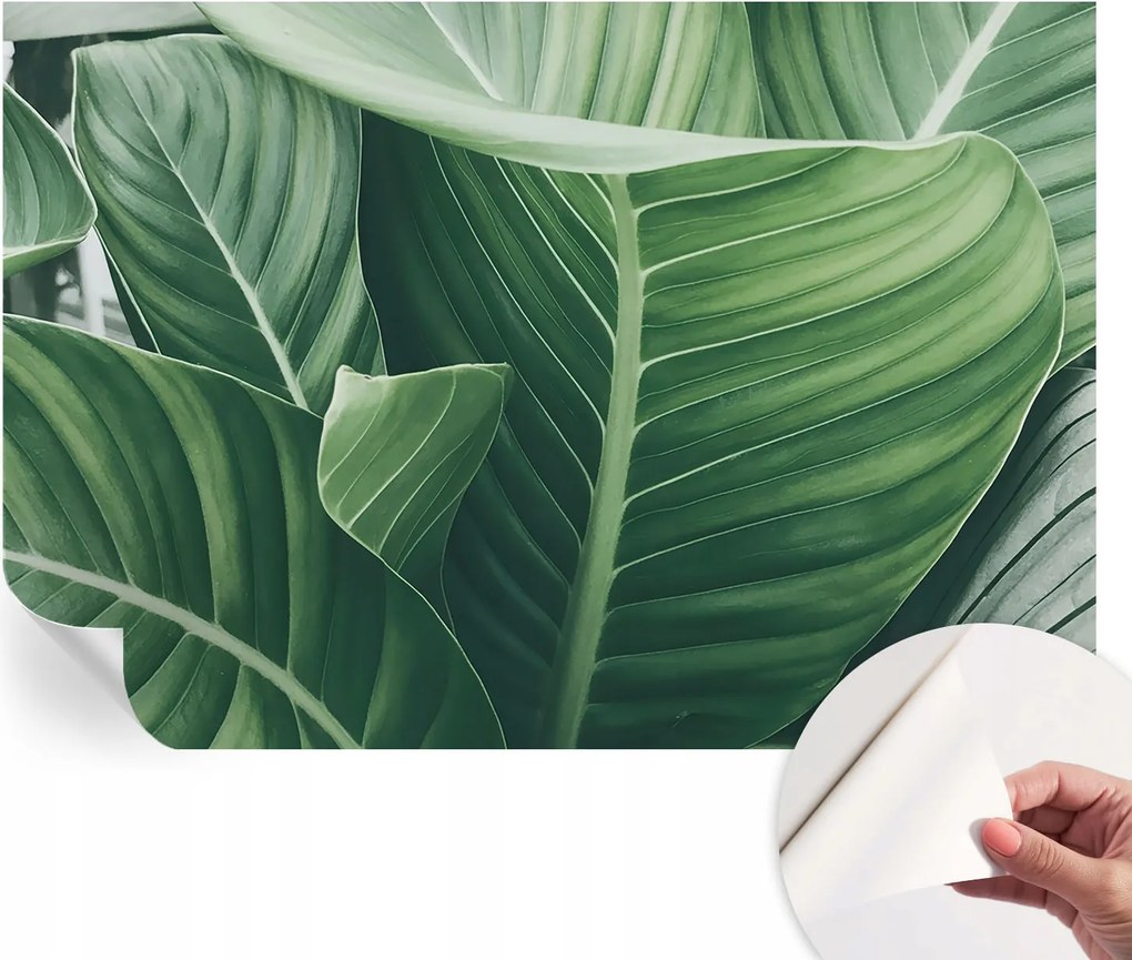 Öntapadós Dekoratív Fotótapéta Hálószobába Zöld nyugalom 152x104 cm