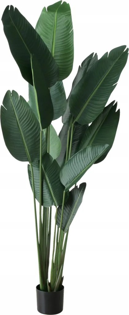 Műnövény Zöld Cserépben Természetes Megjelenés Banán 185 X 50 CM