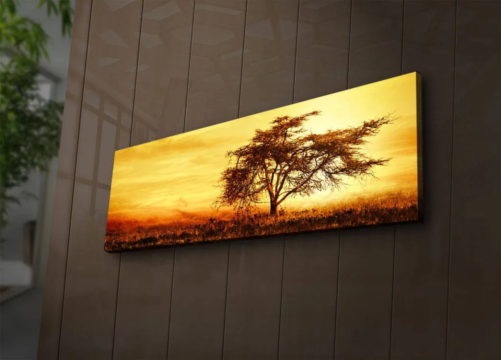 Vászonkép, 30×90 cm – TR239SHN3201
