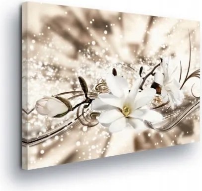 Vászonkép 60x40 Finomság tisztaság ragyogás virágok magnólia romantika ünnep
