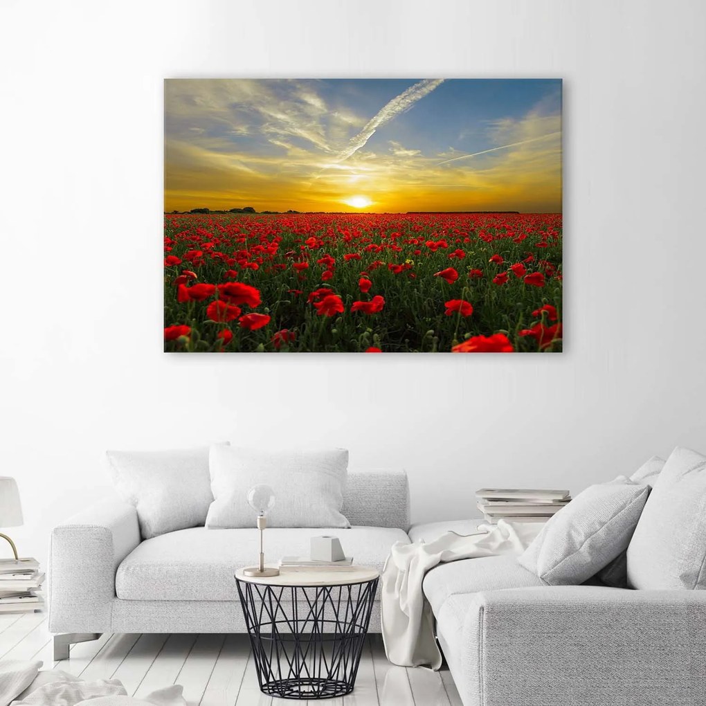Gario Vászonkép Vörös pipacsok rétje a napfényben Méret: 100 x 70 cm