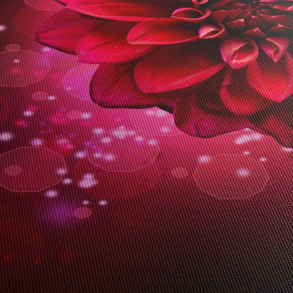 Piros virágok képe (150x105 cm)