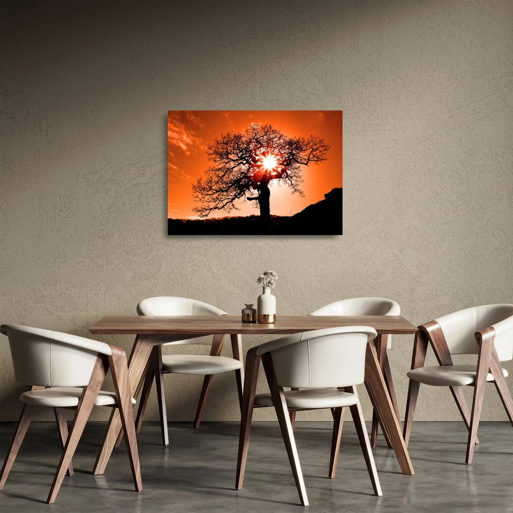 Kép - Tölgy napnyugtakor (üvegen) (70x50 cm)