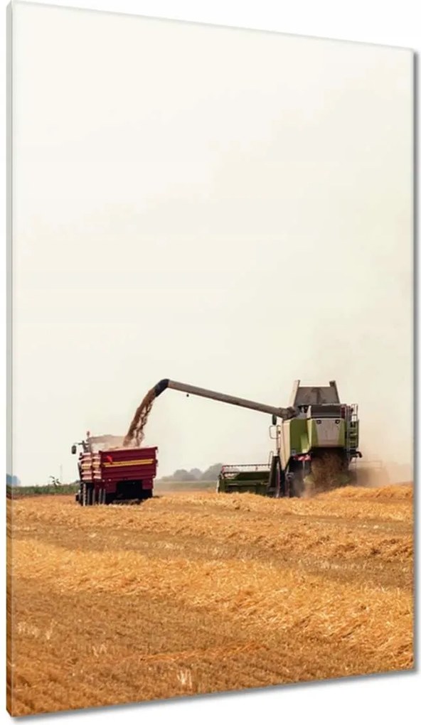 Vászonkép 80x120 Kombájn gabona betakarításhoz