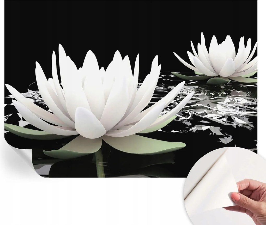 Öntapadós fotótapéta Nappaliba és Hálószobába Víz virágok 312x219 cm