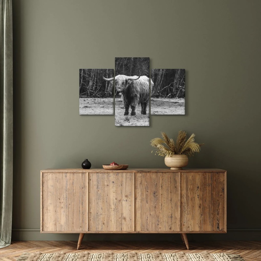 Kép - Skót tehén 3, fekete-fehér (90x60 cm)